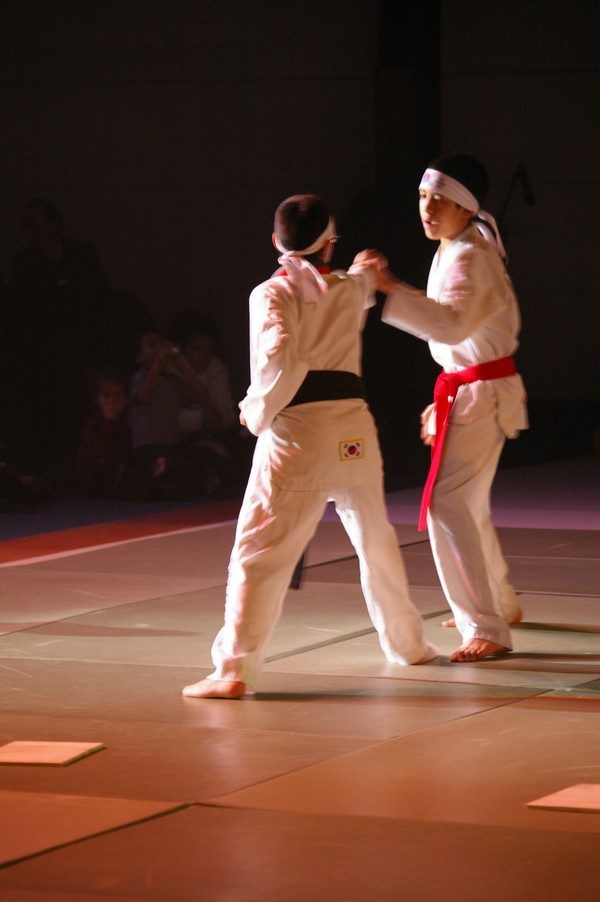 5e Nuit des Sports: 5e nuit des sports Taekwondo 072